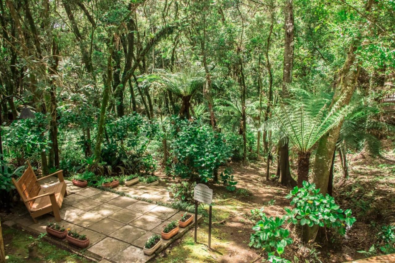Hotel Pousada Cozumel Sierra Канела Экстерьер фото